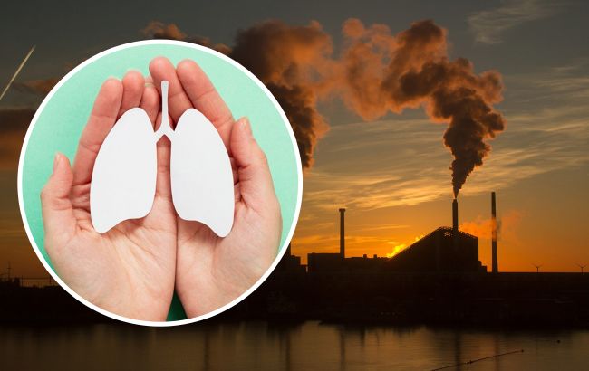 Як забруднення повітря впливає на травлення: вчені зробили важливу заяву