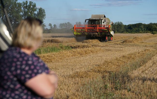 Прибутки з гектарів. Якими будуть ціни на землю в Україні та скільки на цьому можна заробити