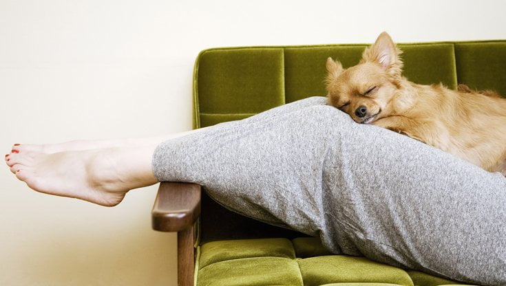 La solitudine per scelta. Anna, la piccola Ada e il suo nuovo amico cane Pelù