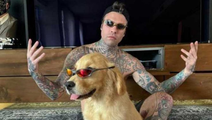 Fedez torna sui social con un nuovo cane, sosia di Paloma Ferragni