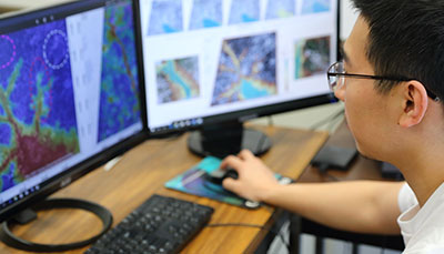 Student working at a computer with heat maps on the screen. 