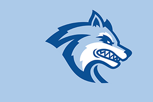 SSU Seawolf head