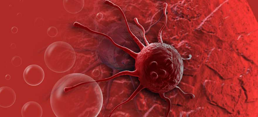 Role BCL-2 v procesu apoptózy a jejich rostoucí úloha v léčbě rakoviny
