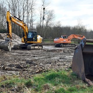 Auf einem Feld in der Nähe des Wasserwerks Bühl-Balzhofen stehen im Februar 2022 Bagger. Dort wird PFC-verunreinigter Boden abgetragen. Das gesundheitsschädliche Gift soll bis 2008 durch einen Kompostunternehmer auf Felder in Mittelbaden gebracht worden sein. 