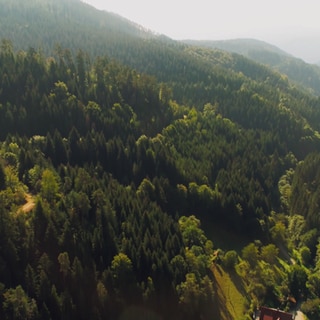 Das Black Forest Observatory in Schiltach im Schwarzwald hat Schwigungen aus Grönland gemessen.