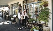 Plant shopping at Caffe Prego in Mosman, Sydney North