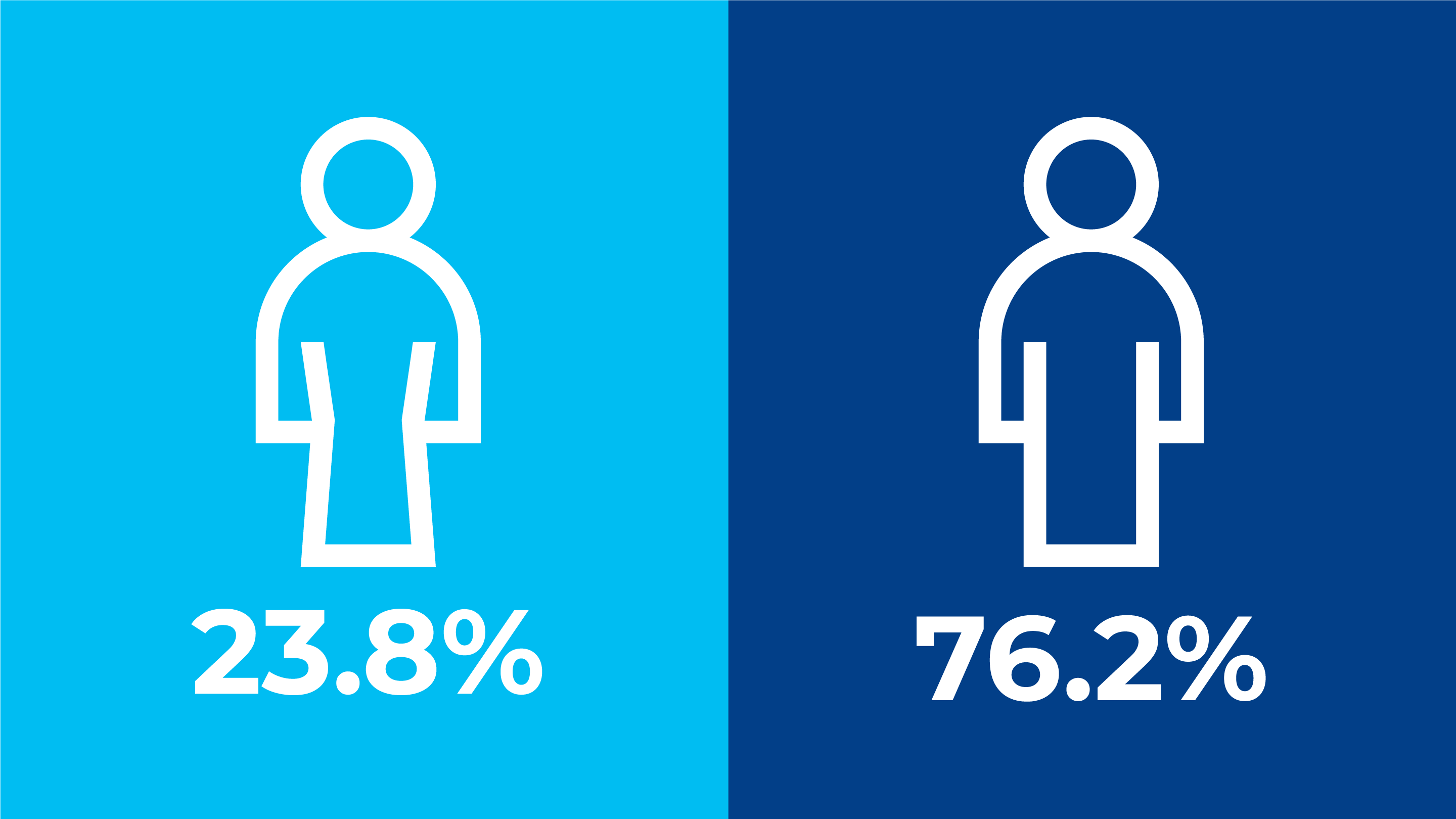 Percentage of employees by gender