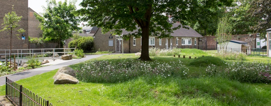 Sustainable drainage system, Swales and Meadow