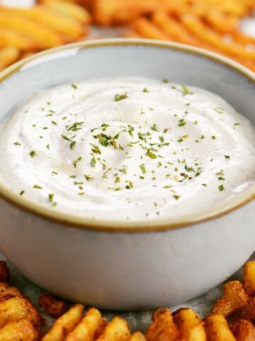 Seasoned sour cream in a gray bowl surrounded by waffle fries.