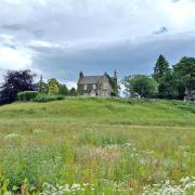 Rewilding Denmarkfield is being surrounded by development projects