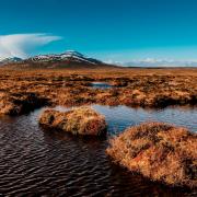 View over the peat bogs towards Ben Griam Beag, at Forsinard, in the Flow Country of the Sutherland region of Scotland.