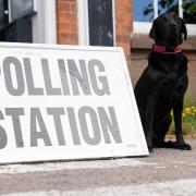 Stock image of a black labrador waiting outside a polling station