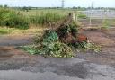 Garden waste was fly-tipped on land near Greenfields Road