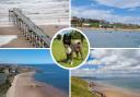 North East and North Yorkshire beaches that will allow dogs from October 1