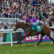 Tatterstall wins at Epsom last year