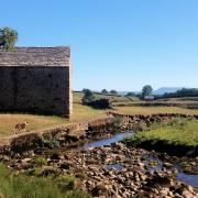 Long Preston Beck