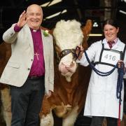 The Archbishop of York Stephen Cottrell blesses a Simmental – Fircovert Nigel, with its handler Holly Lutkin from Norwich at the Great Yorkshire Show