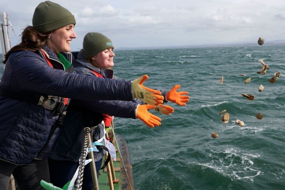The Marine Conservation Society has undertaken projects including restoring seagrass habitats and returning 30,000 native oysters to the Firth of Forth