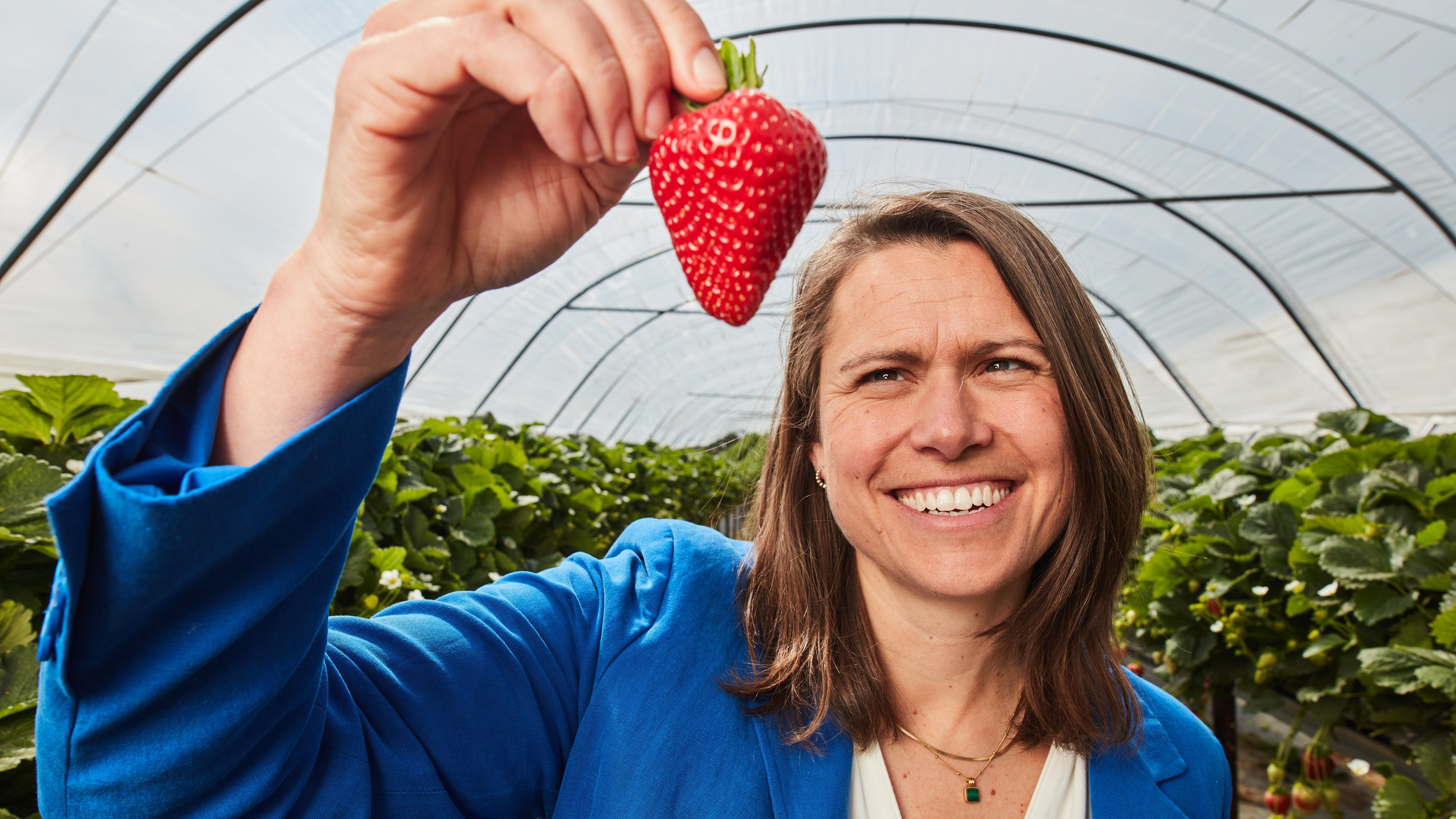 Retail chief executive Hannah Gibson examines strawberries destined for Ocado deliveries