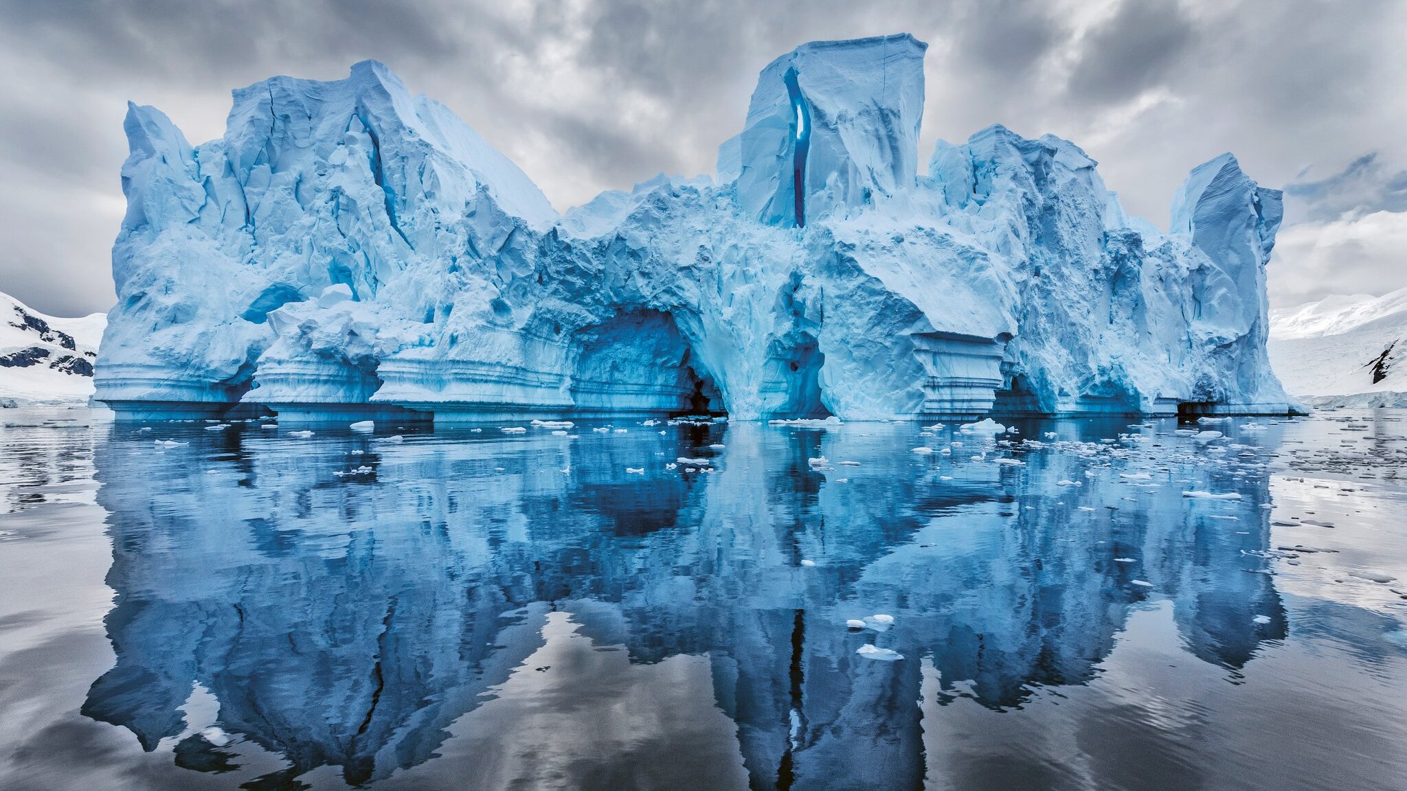 The conservation photographer Paul Nicklen is committed to protecting the polar regions