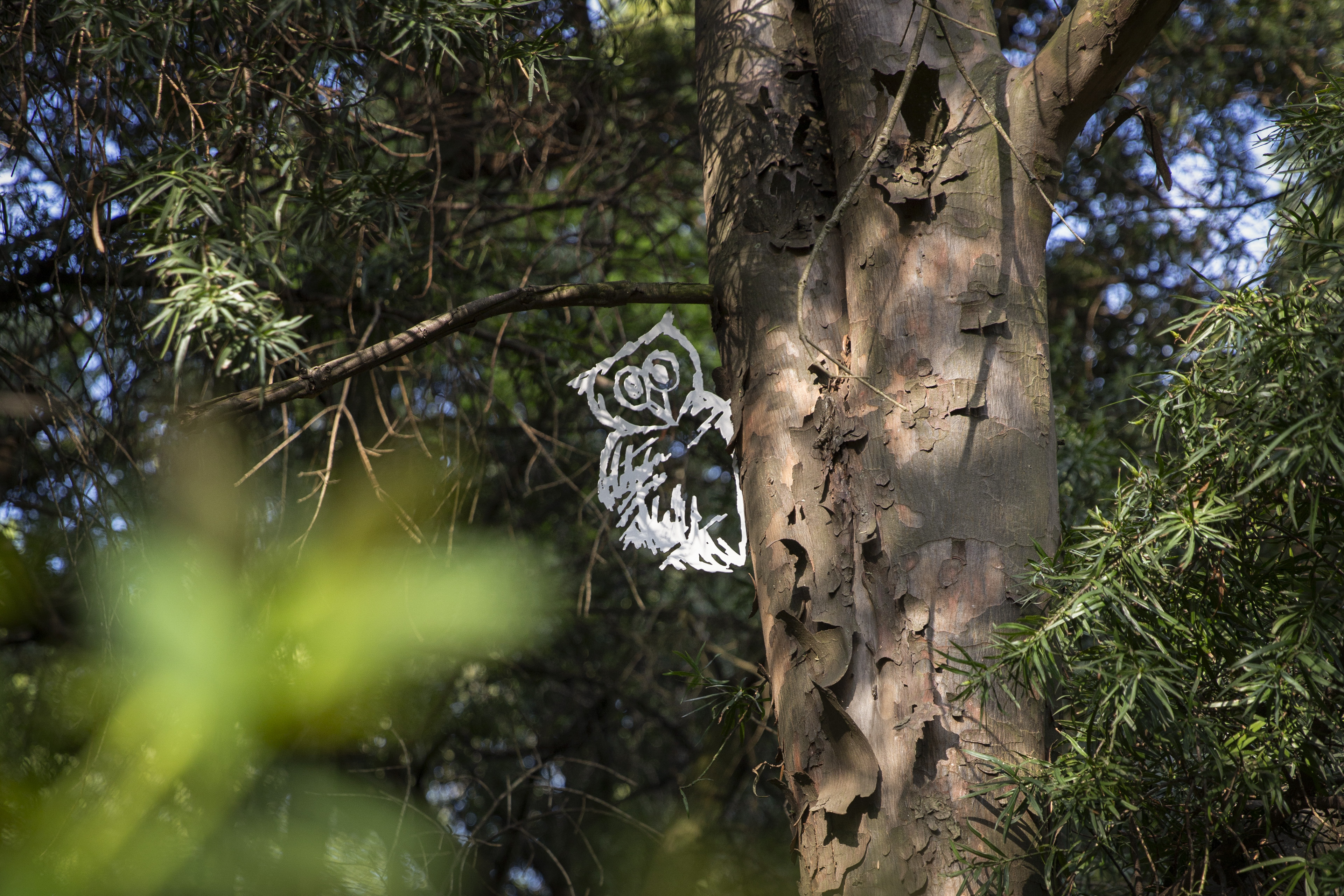 The Wilds is home to 67 owls — and children try to spot them all