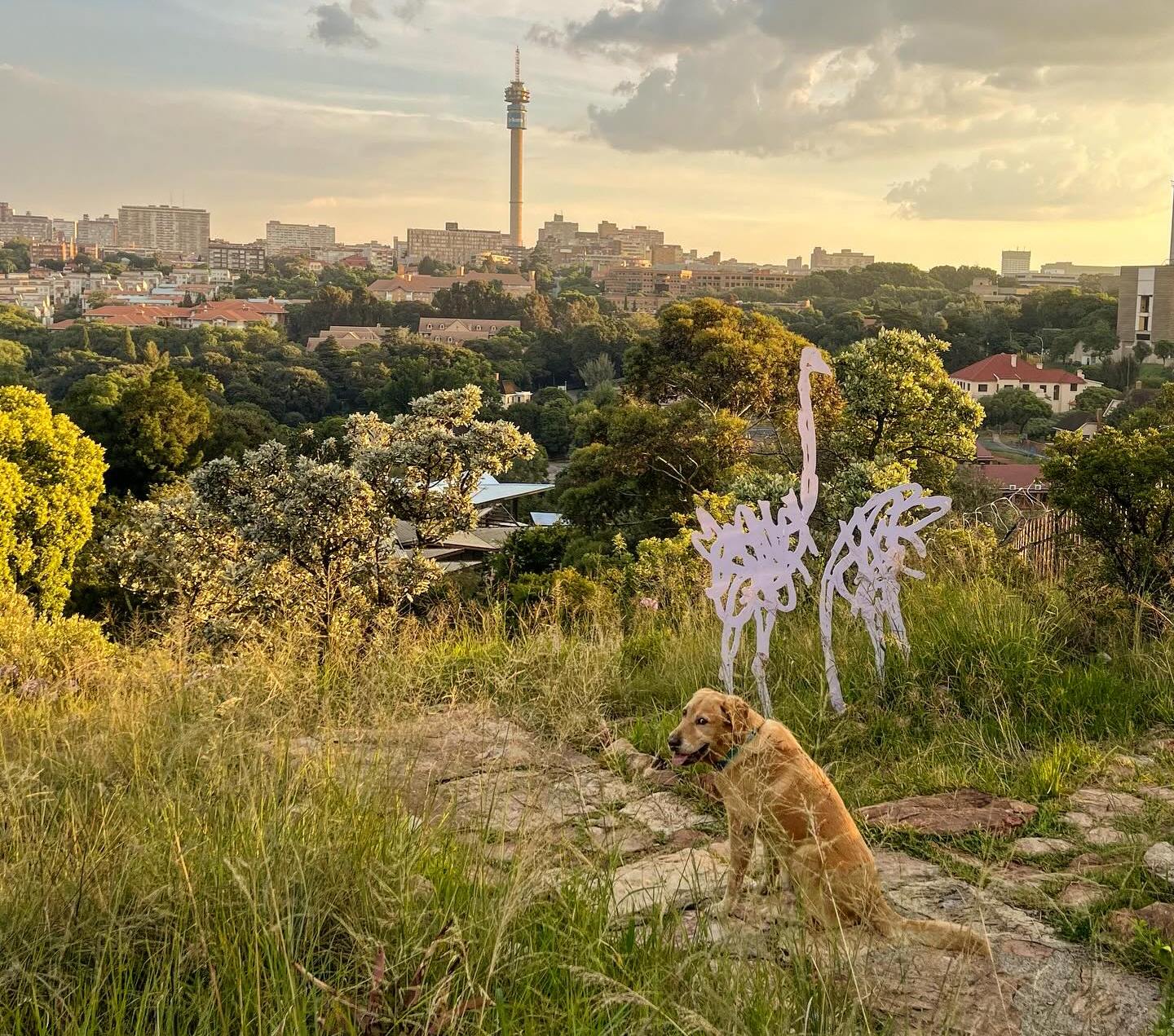 The Wilds attracts 10,000 visitors a year but Pablo the dog remains its biggest fan