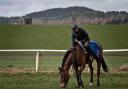 James Moffatt riding Highland Lodge.