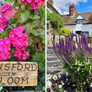 A picturesque Kent village just 30 minutes from south east London has bedecked its streets with floral displays for an annual competition.