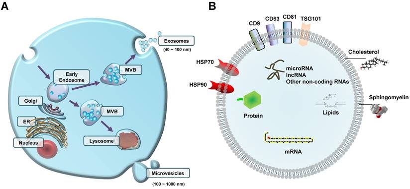 Theranostics Image