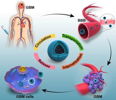 Theranostics Image