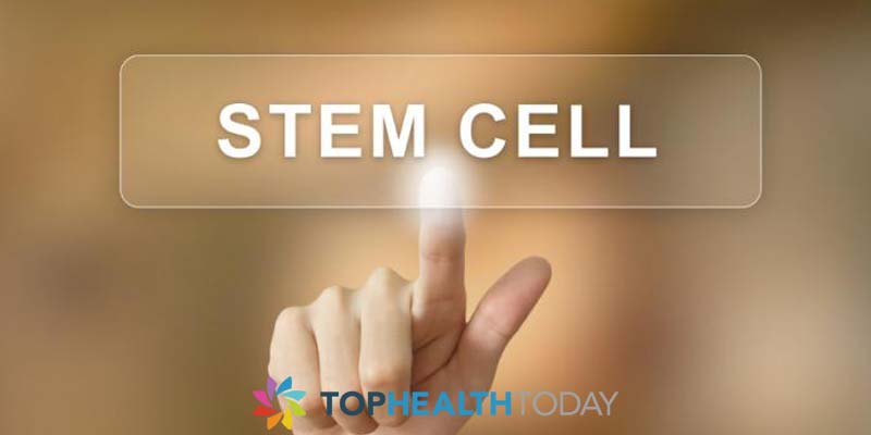 Stem Cell Transplants May Cure MS