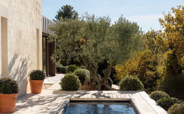 Sur les terrasses, les oliviers invitent les clients à plonger dans l'art de vivre provençal (© Thomas Eugster/Coquillade Provence)
