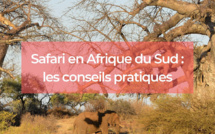 Safari en Afrique du Sud : les conseils pratiques