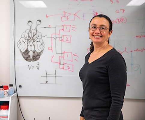 Several members of the Braingeneers research group, including Professor Sofie Salama, will be investigators on the newly funded project to investigate the genetic roots of autism. (photos by Carolyn Lagattuta)