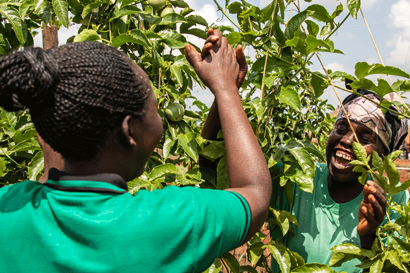 Unas mujeres sonrientes se dan la mano de entre las ramas de unos árboles frutales