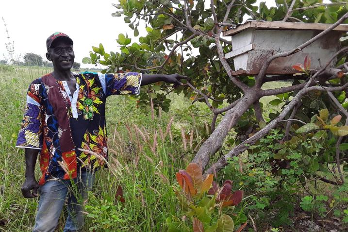 A beekeeper showing a beehive