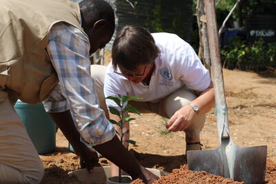 Karen Perrin, OCHA’s head of office in Cameroon, plants a tree in the Minawao refugee camp in the country’s northern border, as part of a reforestation project in response to the drought. Photo: OCHA//Bibiane Mouangue
