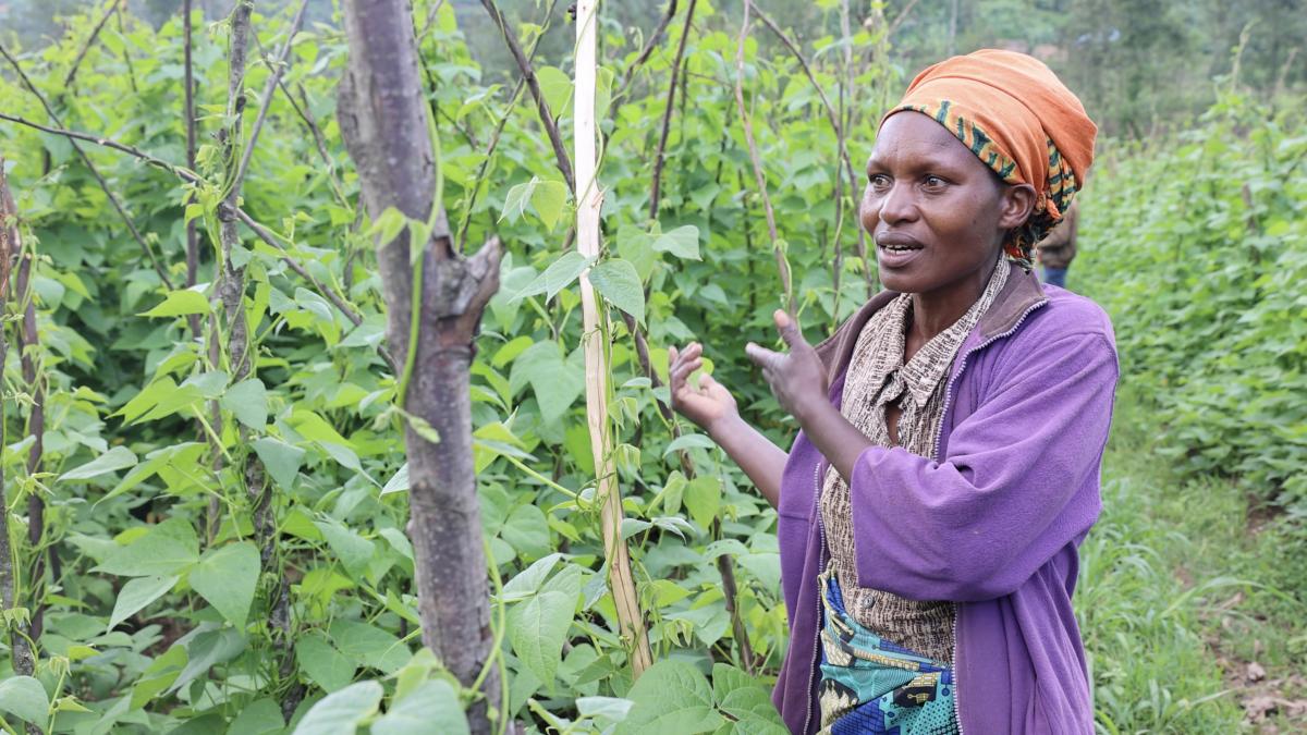 A woman standing in her garden beans