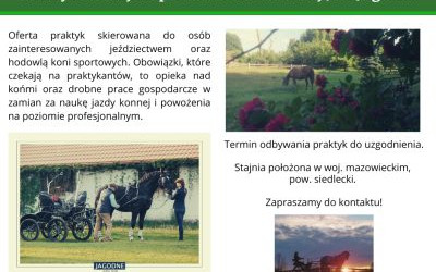 Odnośnik do Praktyki w stajni sportowo-hodowlanej JKS Jagodne