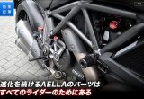 DUCATIモンスター＆ディアベルのポジションを改善するハンドル・ステップの画像