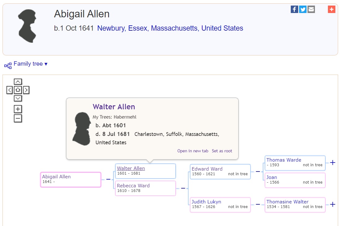 Image:Family Tree diagram - person popup.jpg