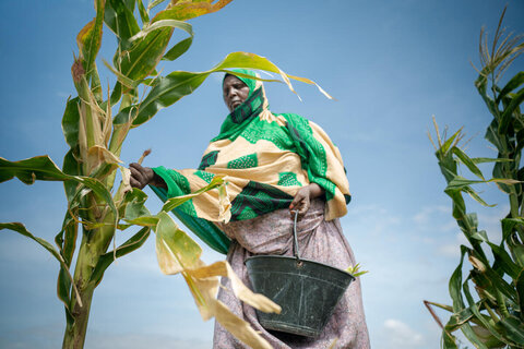 Planting hope: How an EU-funded agriculture project is lifting up farmers in Somalia