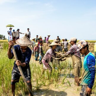 Group of people working on a field