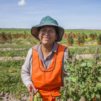 A woman farmer, who is participating in a WFP project in the Bolivian highlands, proudly shows the quinoa plants for this year’s season about to be harvested.