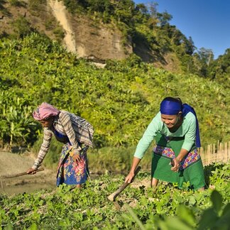 Shanti Rani Mro (35) and Ruiyang Mro (39) are working in a peanut field in the Chittagong Hill Tracts of Bangladesh. Photo: WFP/Sayed Asif Mahmud