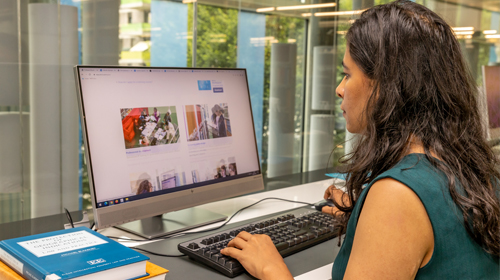 Photo of a student using the Academy's eLearning platform