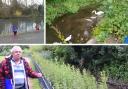 David Alexander alongside Osbaldwick Beck (June 5) and images from recent years taken by those who want to see it 'restored' (above)