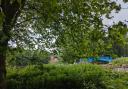 Overgrown riverside paths by the Ouse at the Blue Bridge in York. Image: Newquest