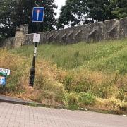 Overgrown weeds and grasses on the bar walls and across York are not a good image for the city says our letter writer. What is your view? Photo supplied