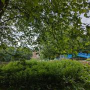 Overgrown riverside paths by the Ouse at the Blue Bridge in York. Image: Newquest